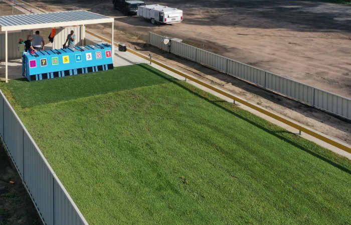 Triggering Dog Starting Box